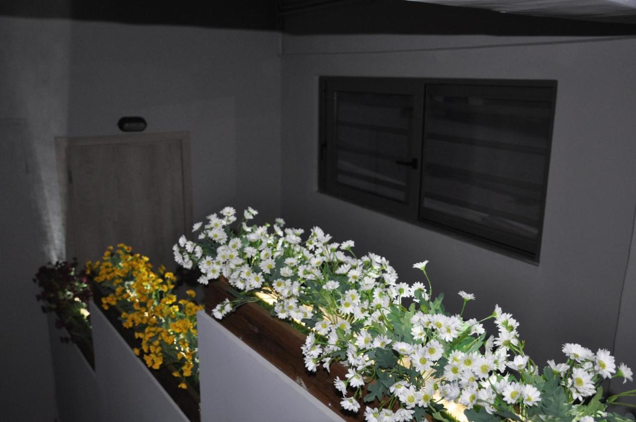 Mirma Halepa Superior Studio Chania  Exterior photo
